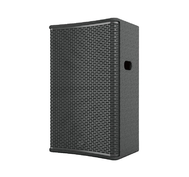 单10寸全频音箱AK-10A